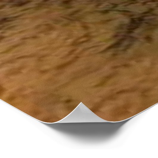 Affiches et impressions (Coin)