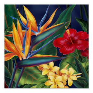 Affiches florales hawaïennes de paradis tropical