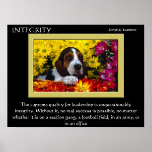 Affiches INTEGRITY 5
