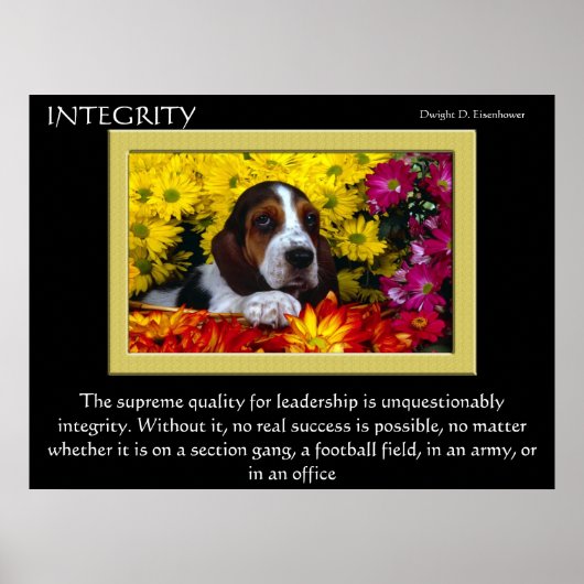 Affiches INTEGRITY 5 (Devant)