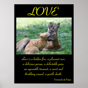 Affiches LOVE Animal 6