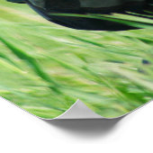 affiches militaires 15 (Coin)