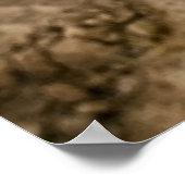 affiches militaires 6 (Coin)