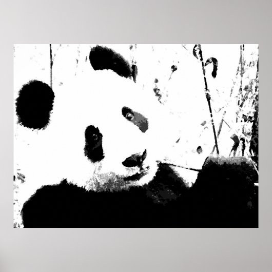 Affiches Panda - Visage de Panda Noir & Blanc (Devant)