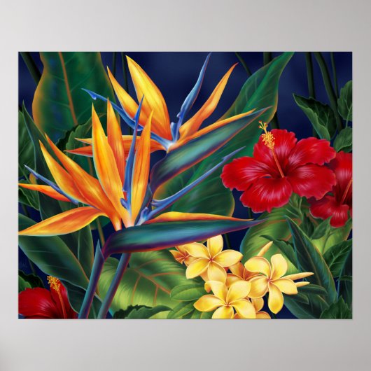 Affiches Paradis Tropical (Devant)