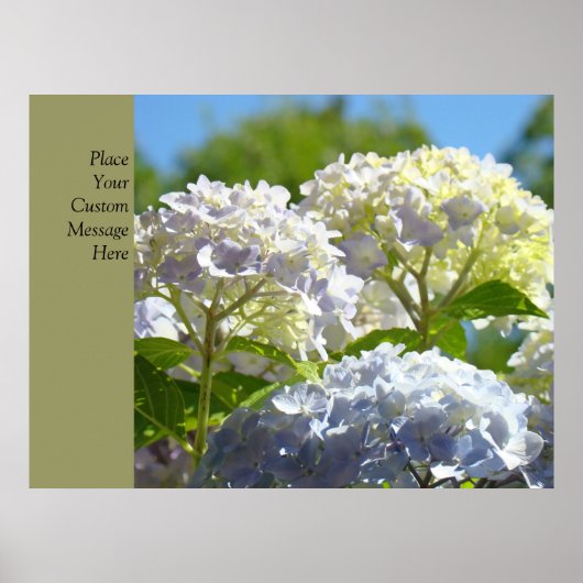 Affiches personnalisées Fleurs d'hydrangea bleues (Devant)
