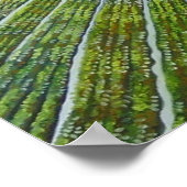 Affiches sur les champs de fraises (Coin)