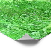 Affiches sur les chutes d'eau (Coin)