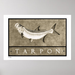 Affiches vintages, copies et cadres du tarpon B&W