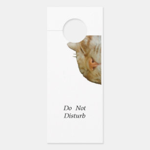 AFFICHETTE DE PORTE 