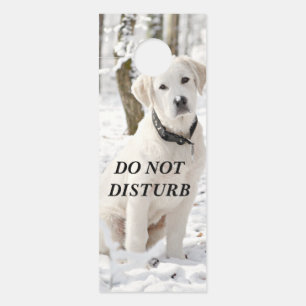 Affichette De Porte Belles Pyrénées blanches