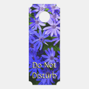 Affichette De Porte Fleurs bleues à la marguerite Nature Photographie