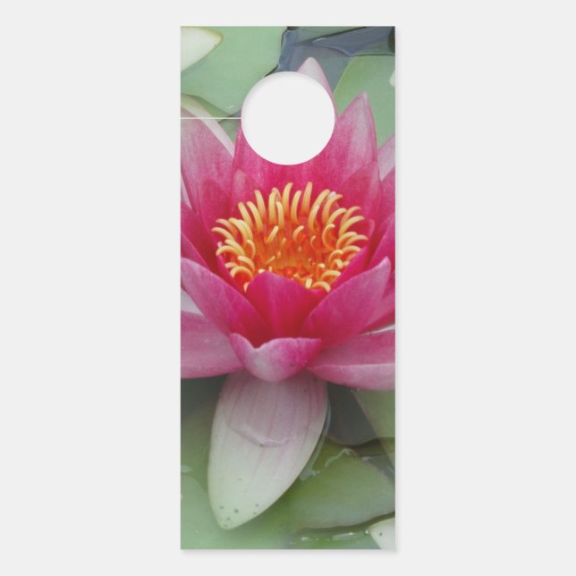 Affichette de porte Lily Lotus Rose (Devant)