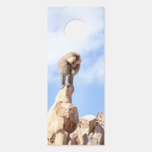 Affichette De Porte Singe babouin au sommet d'une montagne