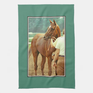 Affirmed Thoroughbred Racehorse 1978 Theedoek