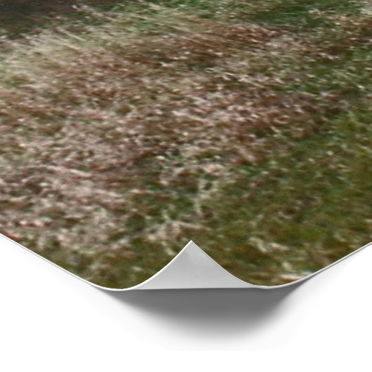 Afgedankte South Dakota boerderij stead. Poster (Hoek)