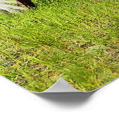 Afgekatende afdruk van wagon poster (Hoek)