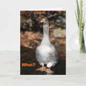 Afgestudeerd Kaart (Voorkant)