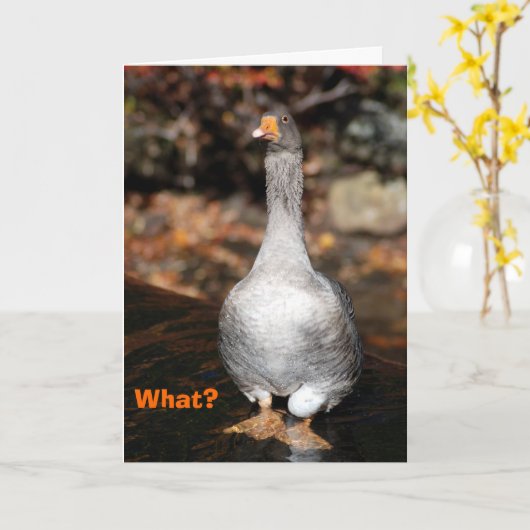 Afgestudeerd Kaart (Gele Bloem)