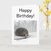 Afgevouwen kaart Beoordeling zegelthema (Gele Bloem)