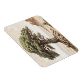 Afghaanse dennenboom magneet (Rechterzijde)