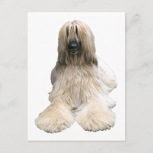 Afghaanse Helaine Briefkaart