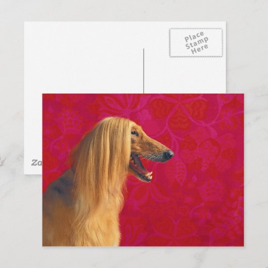 Afghaanse heuvelkaarten en GIfts Briefkaart (Voorkant / Achterkant)