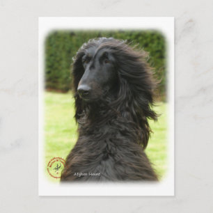 Afghaanse hond 9T027D-081 Briefkaart