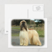 Afghaanse hond 9Y119D-037 Briefkaart (Voorkant / Achterkant)