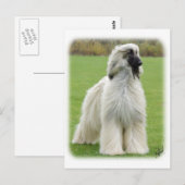 Afghaanse hond 9Y247D-010 Briefkaart (Voorkant / Achterkant)
