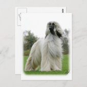 Afghaanse hond 9Y247D-025 Briefkaart (Voorkant / Achterkant)