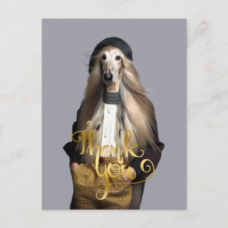 Afghaanse hond blond haar in broek Dank Je Briefkaart