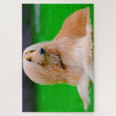 Afghaanse hond Dog. Legpuzzel (Verticaal)