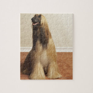 Afghaanse hond in kamer 2 legpuzzel