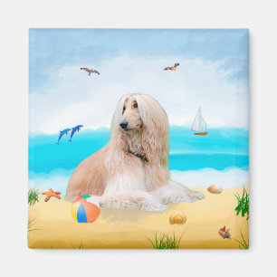 Afghaanse hond op strand magneet