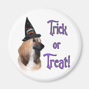 Afghaanse truc magneet