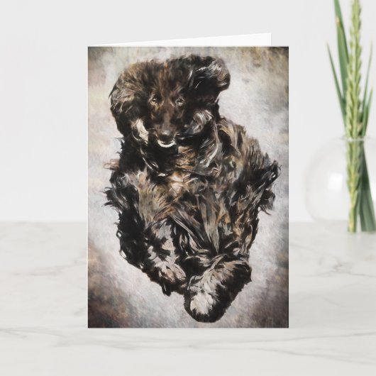 Afghaanse Wenskaarten Kaart (Voorkant)