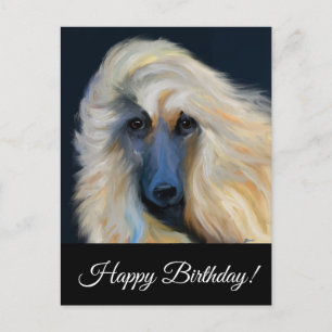 Afghaanse windhond briefkaart