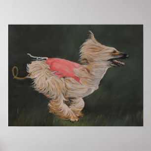 Afghaanse windhond jacht reproductie poster kunst