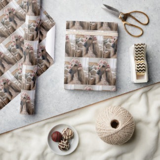 Afghaanse windhond met roze spons krultangen cadeaupapier