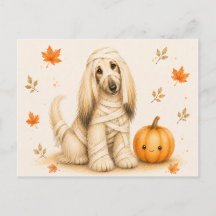Afghaanse windhond mummie Halloween