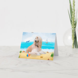 Afghaanse windhond op het strand kaart