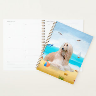 Afghaanse windhond op het strand planner