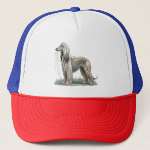 Afghaanse windhond trucker pet