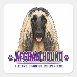 🐾 Afghaanse Windhondliefhebber 🐾 Vierkante Sticker