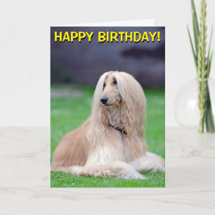 Afghan Hound aanpasbare wenskaart Kaart