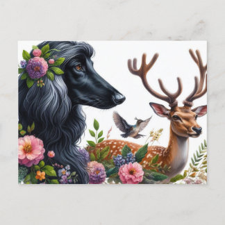 Afghan Hound Briefkaart