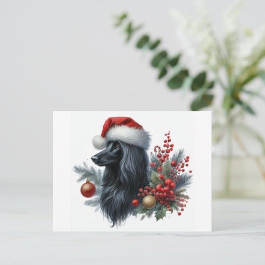 Afghan Hound Briefkaart (Staand voorkant)