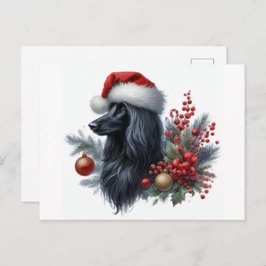 Afghan Hound Briefkaart (Voorkant / Achterkant)