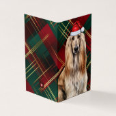 Afghan Hound Christmas Dog with Holiday Plaid (Outside)